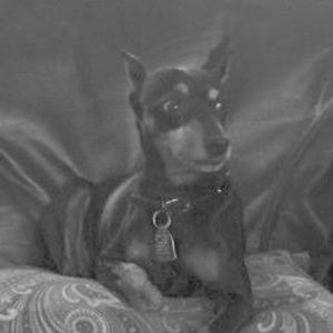 Meet your Posher, Oleva